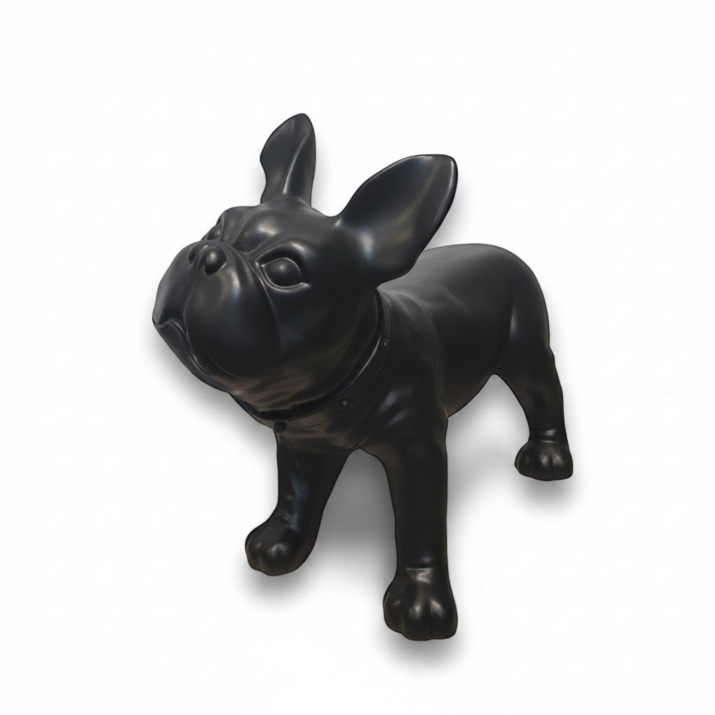 Fransk bulldogg, Liva. Hundmannekäng i svart