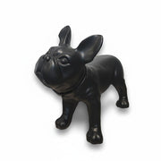 Fransk bulldogg, Liva. Hundmannekäng i svart